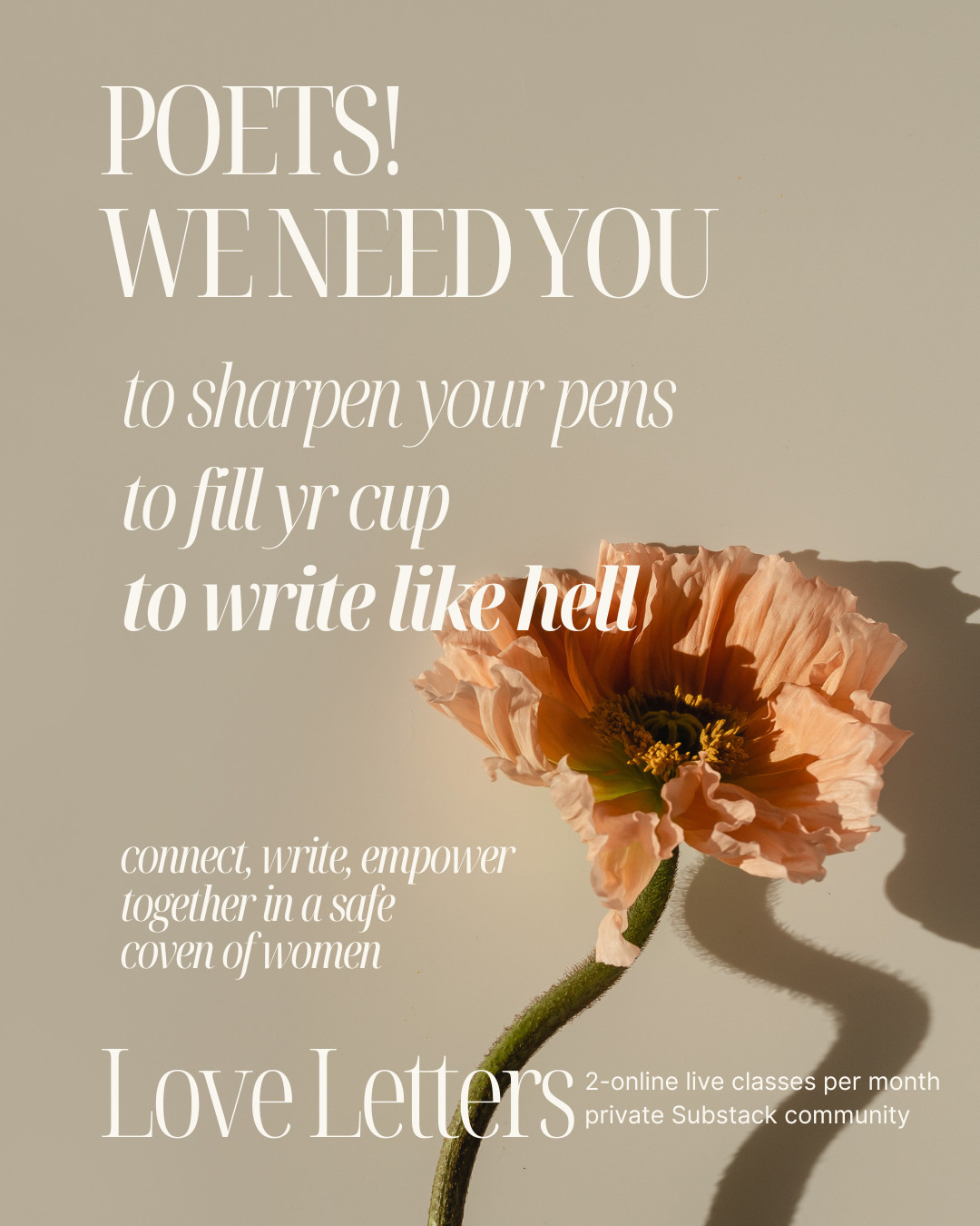 Love Letters Coven Monthly Poetry Class - Subscription