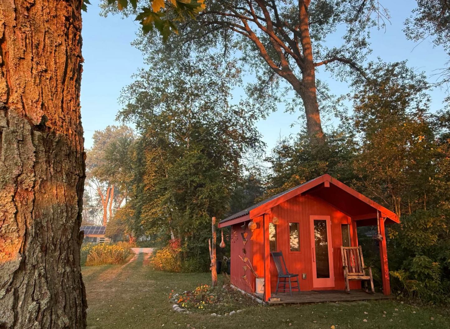 Misty morning sunrise through the trees on Lake Michigan